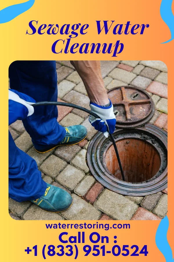 Sewage Water Cleanup in Placerville, CA